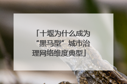 十堰为什么成为“黑马型”城市治理网络维度典型
