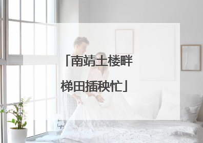 南靖土楼畔 梯田插秧忙
