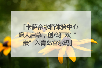 卡萨帝冰箱体验中心盛大启幕，创意狂欢“嵌”入青岛富尔玛