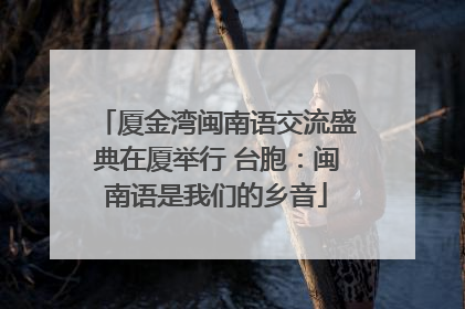 厦金湾闽南语交流盛典在厦举行 台胞：闽南语是我们的乡音
