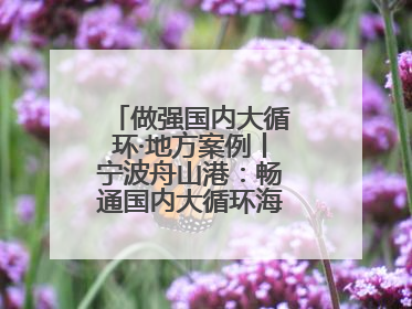 做强国内大循环·地方案例丨宁波舟山港：畅通国内大循环海铁联运走天下