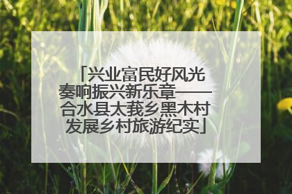 兴业富民好风光 奏响振兴新乐章——合水县太莪乡黑木村发展乡村旅游纪实