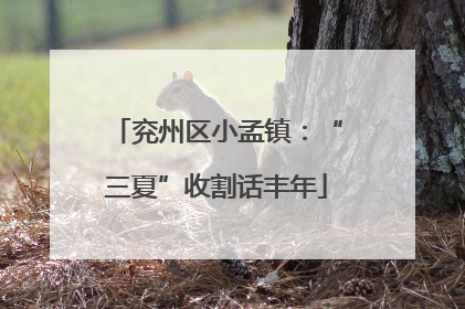 兖州区小孟镇：“三夏”收割话丰年