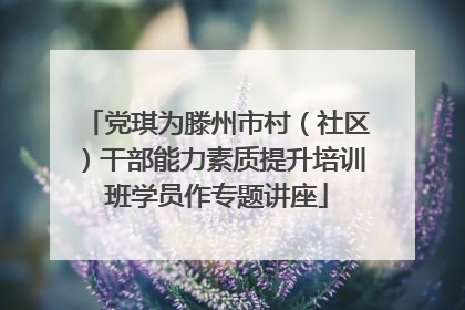 党琪为滕州市村（社区）干部能力素质提升培训班学员作专题讲座