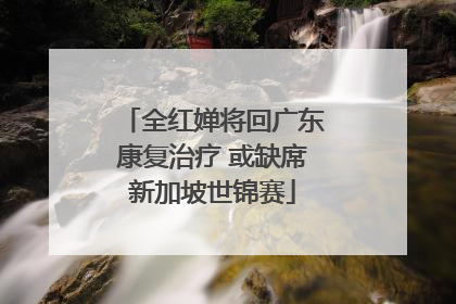 全红婵将回广东康复治疗 或缺席新加坡世锦赛