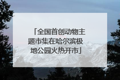 全国首创动物主题市集在哈尔滨极地公园火热开市