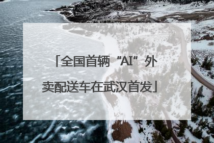全国首辆“AI”外卖配送车在武汉首发