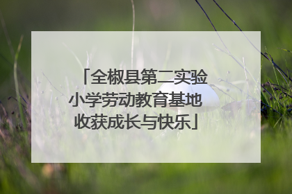 全椒县第二实验小学劳动教育基地收获成长与快乐