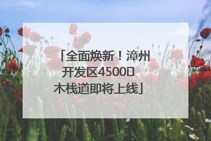 全面焕新！漳州开发区4500㎡木栈道即将上线