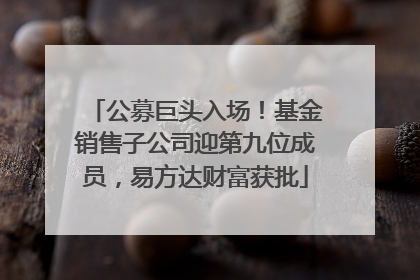 公募巨头入场！基金销售子公司迎第九位成员，易方达财富获批