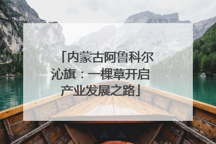 内蒙古阿鲁科尔沁旗：一棵草开启产业发展之路