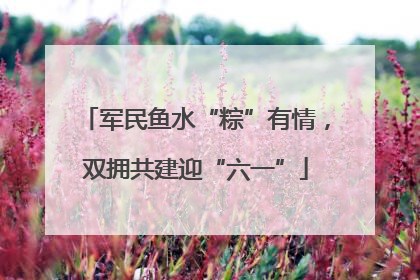 军民鱼水“粽”有情，双拥共建迎“六一”