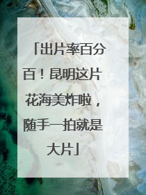 出片率百分百！昆明这片花海美炸啦，随手一拍就是大片