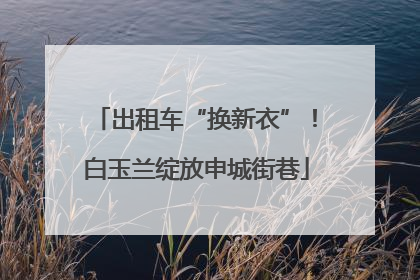 出租车“换新衣”！白玉兰绽放申城街巷