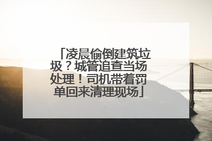 凌晨偷倒建筑垃圾？城管追查当场处理！司机带着罚单回来清理现场
