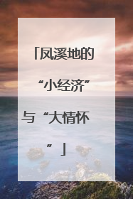 凤溪地的“小经济”与“大情怀”