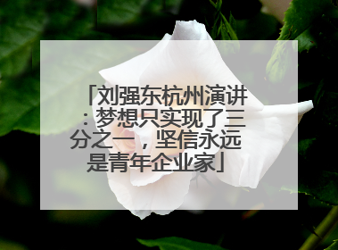 刘强东杭州演讲：梦想只实现了三分之一，坚信永远是青年企业家
