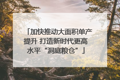 加快推动大面积单产提升 打造新时代更高水平“洞庭粮仓”