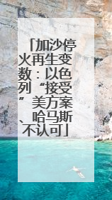 加沙停火再生变数：以色列“接受”美方案、哈马斯不认可
