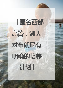 匿名西部高管：湖人对布朗尼有明确的培养计划