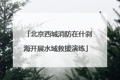 北京西城消防在什刹海开展水域救援演练