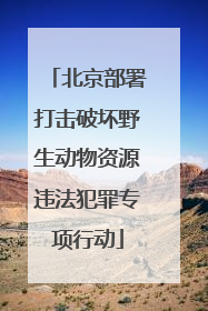 北京部署打击破坏野生动物资源违法犯罪专项行动