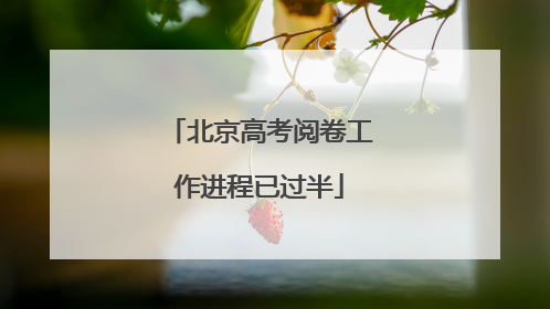 北京高考阅卷工作进程已过半