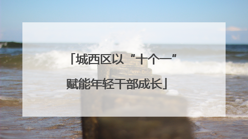 城西区以“十个一”赋能年轻干部成长