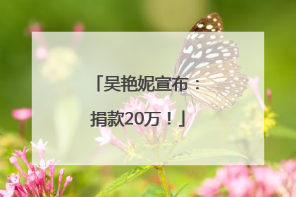 吴艳妮宣布：捐款20万！