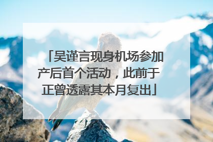 吴谨言现身机场参加产后首个活动，此前于正曾透露其本月复出