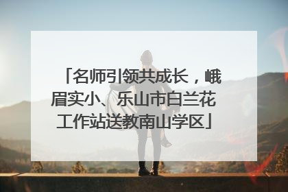 名师引领共成长，峨眉实小、乐山市白兰花工作站送教南山学区