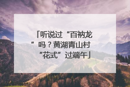 听说过“百衲龙”吗？黄湖青山村“花式”过端午