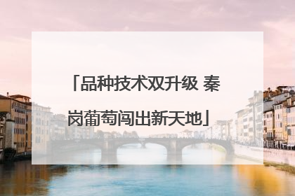 品种技术双升级 秦岗葡萄闯出新天地