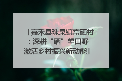 嘉禾县珠泉镇富硒村：深耕“硒”望田野 激活乡村振兴新动能