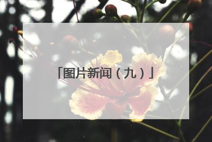 图片新闻（九）