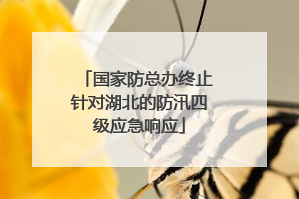 国家防总办终止针对湖北的防汛四级应急响应
