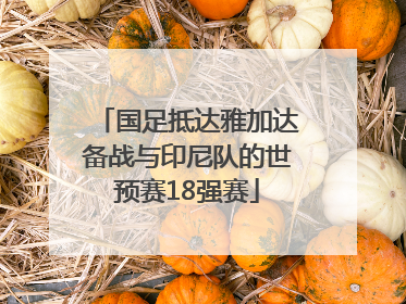 国足抵达雅加达备战与印尼队的世预赛18强赛