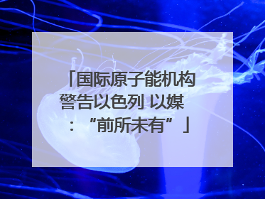 国际原子能机构警告以色列 以媒：“前所未有”