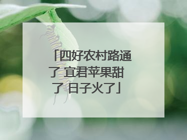四好农村路通了 宜君苹果甜了 日子火了