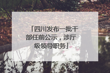 四川发布一批干部任前公示，涉厅级领导职务