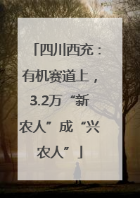 四川西充：有机赛道上，3.2万“新农人”成“兴农人”