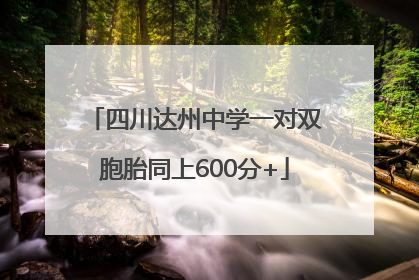 四川达州中学一对双胞胎同上600分+