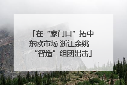 在“家门口”拓中东欧市场 浙江余姚“智造”组团出击
