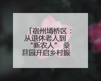 宿州埇桥区：从退休老人到 “新农人” 桑葚园开启乡村振兴新篇章