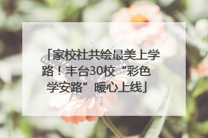 家校社共绘最美上学路！丰台30校“彩色学安路”暖心上线