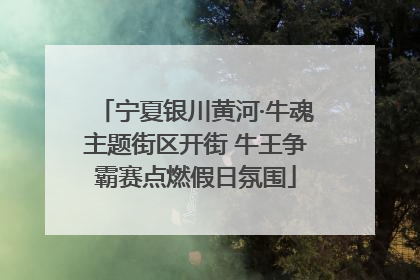 宁夏银川黄河·牛魂主题街区开街 牛王争霸赛点燃假日氛围