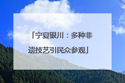 宁夏银川：多种非遗技艺引民众参观