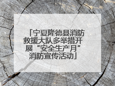 宁夏隆德县消防救援大队多举措开展“安全生产月”消防宣传活动