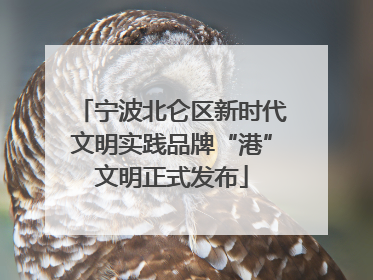 宁波北仑区新时代文明实践品牌“港”文明正式发布