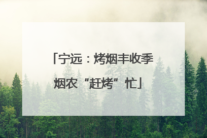 宁远：烤烟丰收季 烟农“赶烤”忙